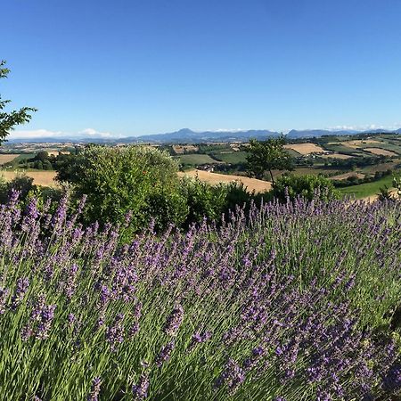 Hostal Solea Relais Di Charme- Adults Only Trecastelli Exterior foto