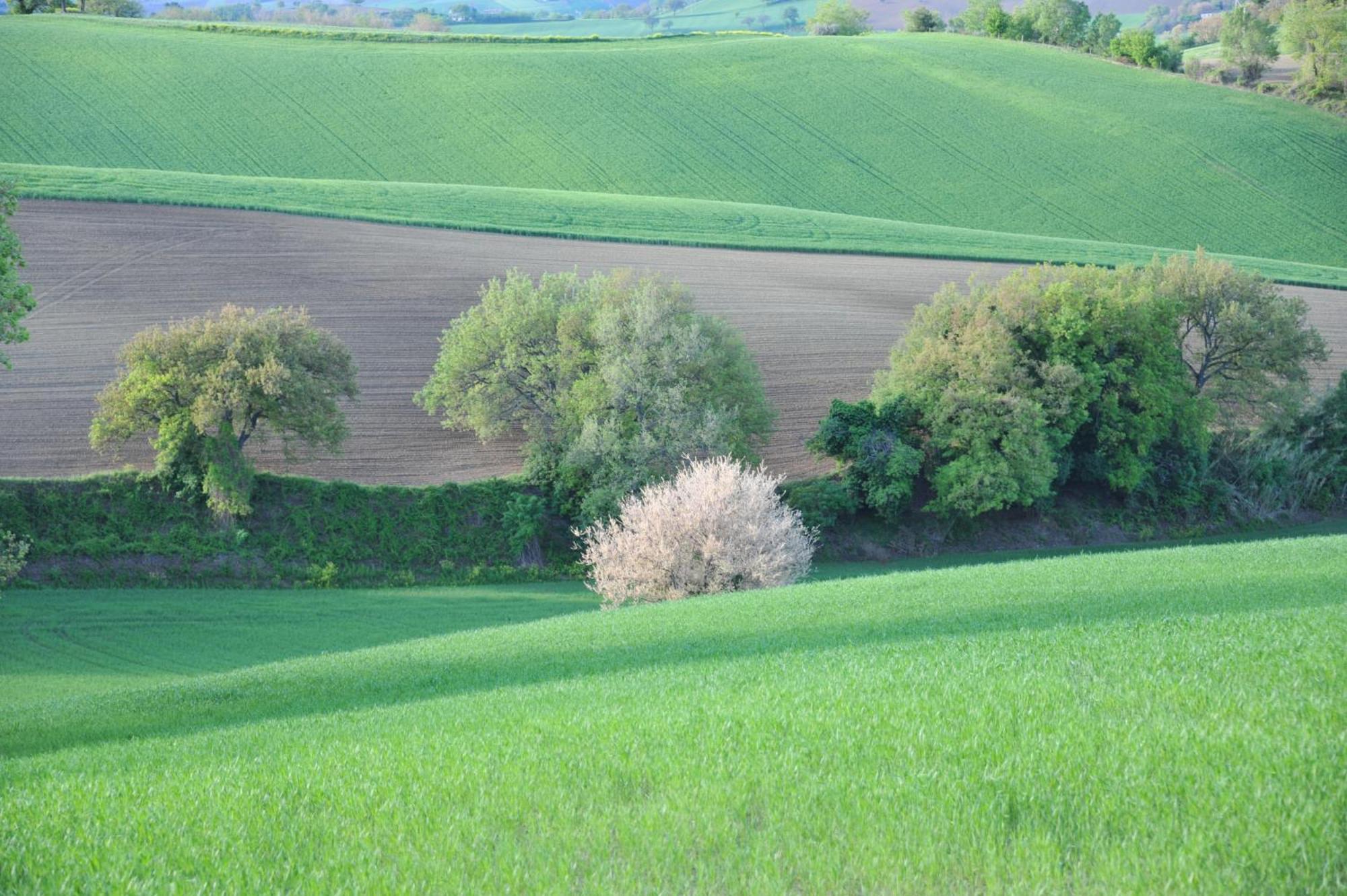 Hostal Solea Relais Di Charme- Adults Only Trecastelli Exterior foto