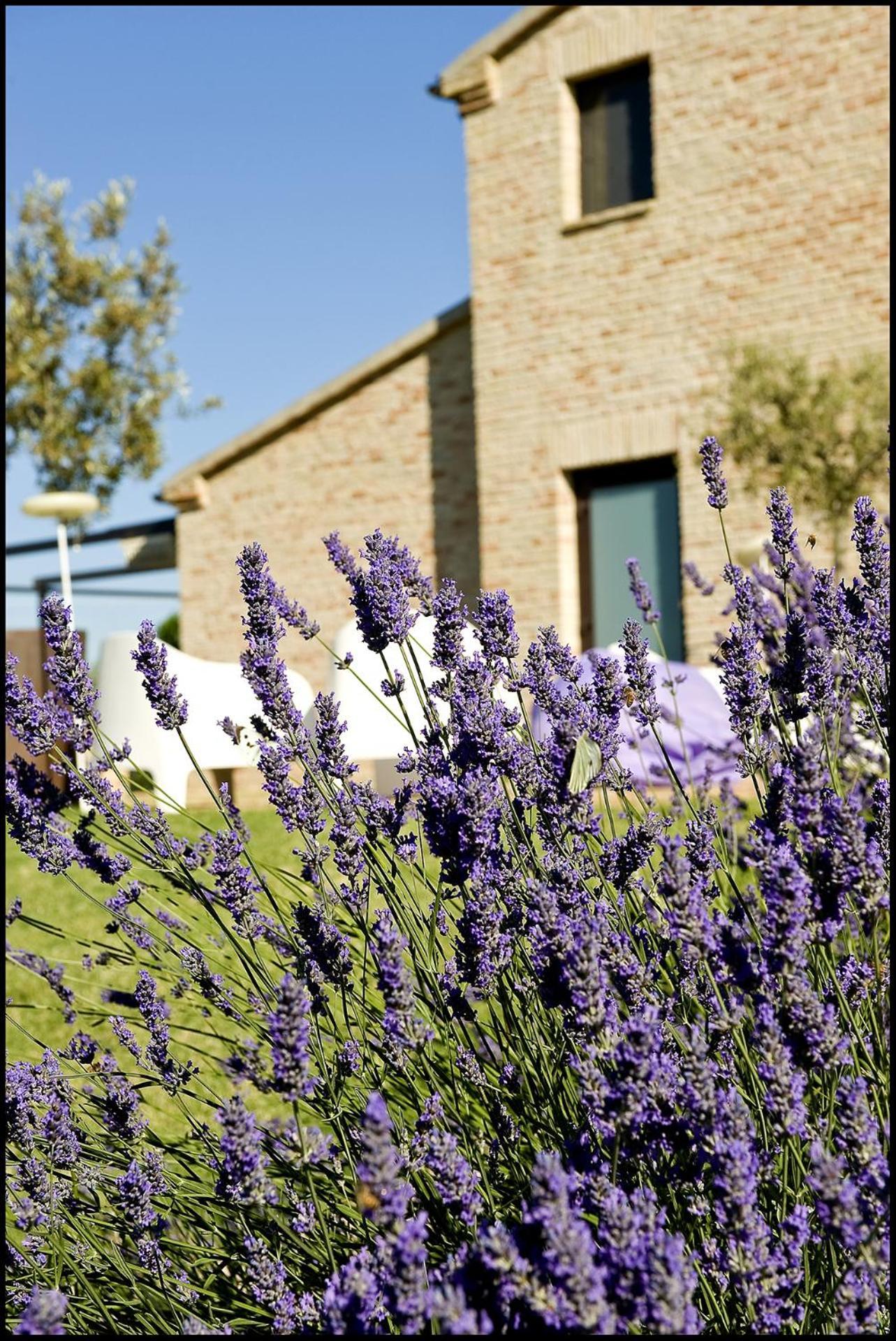 Hostal Solea Relais Di Charme- Adults Only Trecastelli Exterior foto